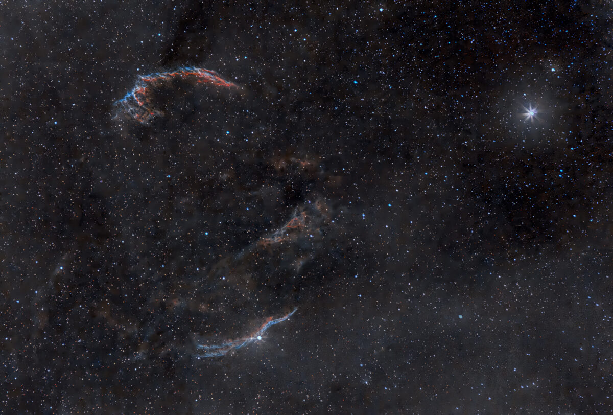Les dentelles du cygne