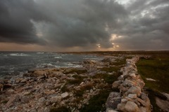 MG_5181