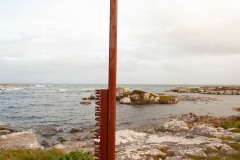 MG_5202
