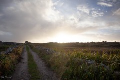 MG_5207