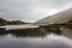 MG_6071