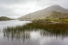 MG_6075