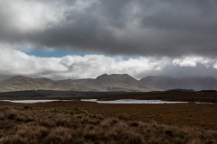 MG_6094