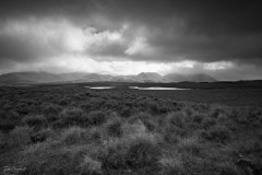 MG_6100