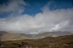MG_6146