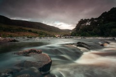 MG_6662
