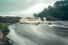 MG_6681