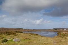 MG_6897