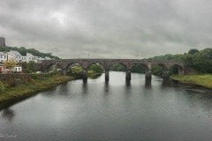 IMG_0525