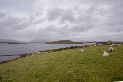 MG_0762-HDR