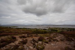 MG_0889