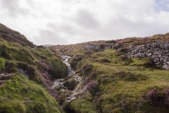 MG_1022-HDR
