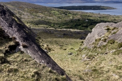 20240501_IMG_8499