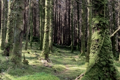 20240501_IMG_8519