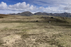 20240503_IMG_8605