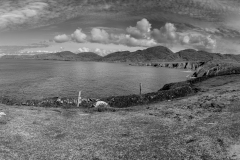 20240503_IMG_8606-Panorama