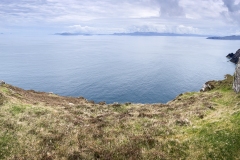 20240504_IMG_8666
