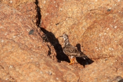 20100306_2010-03-06-17-18-28NIKON-CORPORATION-NIKON-D2003904x2616