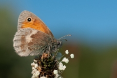 20100524_2010-05-24-18-45-20NIKON-CORPORATION-NIKON-D300S4352x2868