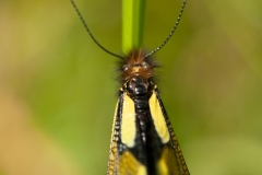 20100615_2010-06-15-13-04-23NIKON-CORPORATION-NIKON-D300S4352x2868