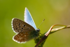 20100616_2010-06-16-10-08-02NIKON-CORPORATION-NIKON-D300S4352x2868