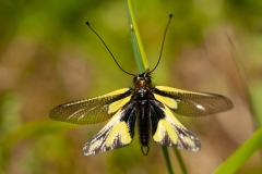 20100616_2010-06-16-10-21-50NIKON-CORPORATION-NIKON-D300S4352x2868