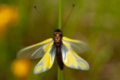 20100616_2010-06-16-13-09-30NIKON-CORPORATION-NIKON-D300S4352x2868