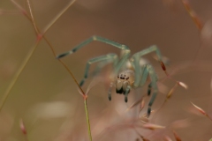 20100618_2010-06-18-18-40-37NIKON-CORPORATION-NIKON-D300S4352x2868