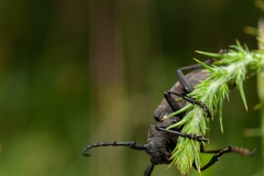 20100618_2010-06-18-19-47-51NIKON-CORPORATION-NIKON-D300S4352x2868