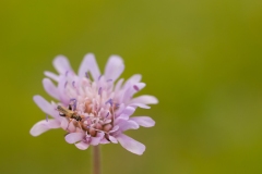 20100619_2010-06-19-12-36-09NIKON-CORPORATION-NIKON-D300S4352x2868