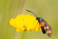 20100619_2010-06-19-16-25-36NIKON-CORPORATION-NIKON-D300S4352x2868