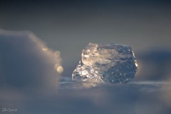 Little iceberg