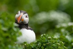 20120607_2012-06-07-14-21-07NIKON-CORPORATION-NIKON-D300S4352x2868-2