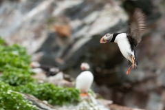 20120607_2012-06-07-14-38-20NIKON-CORPORATION-NIKON-D300S4352x2868-2