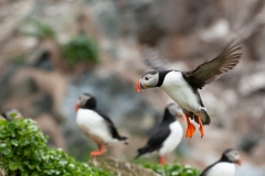 20120607_2012-06-07-14-40-52NIKON-CORPORATION-NIKON-D300S4352x28683133997056