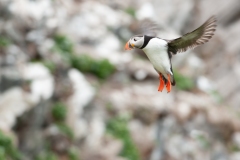 20120607_2012-06-07-14-46-22NIKON-CORPORATION-NIKON-D300S4352x2868
