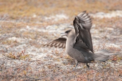 20120607_2012-06-07-17-00-00NIKON-CORPORATION-NIKON-D300S4352x2868
