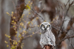 20120610_2012-06-10-09-24-36NIKON-CORPORATION-NIKON-D300S4352x2868