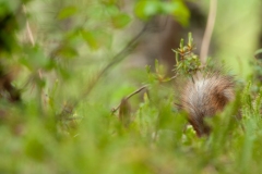 20120614_2012-06-14-11-08-45NIKON-CORPORATION-NIKON-D300S4352x2868