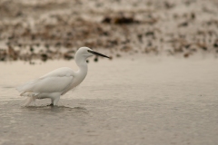 20100220_2010-02-20-15-41-47NIKON-CORPORATION-NIKON-D2003904x2616