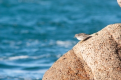 20100306_2010-03-06-16-36-32NIKON-CORPORATION-NIKON-D2003904x2616175318904