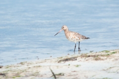 20100513_2010-05-13-15-38-27NIKON-CORPORATION-NIKON-D300S4352x2868381631880