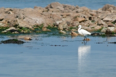 20100513_2010-05-13-15-46-18NIKON-CORPORATION-NIKON-D300S4352x2868