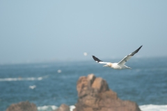 20100703_2010-07-03-10-28-40NIKON-CORPORATION-NIKON-D300S4352x2868825964376