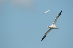 20100703_2010-07-03-10-34-30NIKON-CORPORATION-NIKON-D300S4352x2868