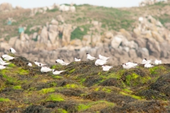 20100710_2010-07-10-10-12-10NIKON-CORPORATION-NIKON-D300S4352x2868928288184