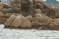 20100710_2010-07-10-16-24-56NIKON-CORPORATION-NIKON-D300S4352x2868-2