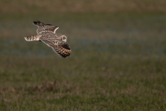 20120211_2012-02-11-15-32-36NIKON-CORPORATION-NIKON-D300S4352x2868