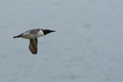 20120607_2012-06-07-14-32-38NIKON-CORPORATION-NIKON-D300S4352x2868