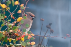 20121204_2012-12-04-12-09-41NIKON-CORPORATION-NIKON-D300S4352x2868